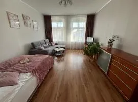 Apartament pod Dębem