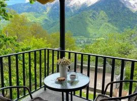 Guesthouse in Lankhvri