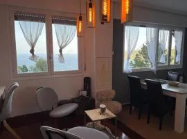 Ibinaga Seaview - Auto checking property