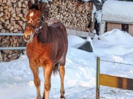 Holiday Home Chalet Mon Désir Lajoux by Interhome, hotel di Lajoux