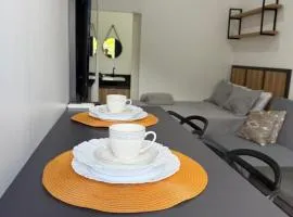 Loft Vip RR