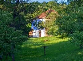 Casa La Casiru 17 nature