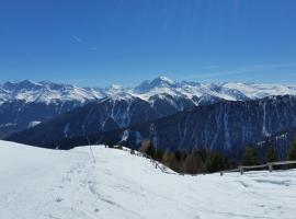 Pension Florian, khách sạn ở Burgusio