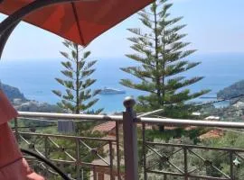 Elena Rista Studios