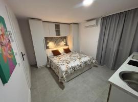 드르베니크에 위치한 호텔 Apartmani Kristina
