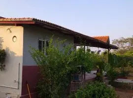 Surya farms