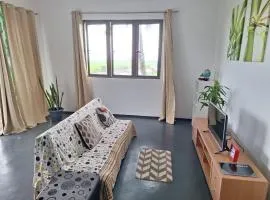 Rob's House