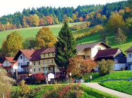 Hotel Gasthof Zur Krone, hotel in Beerfelden