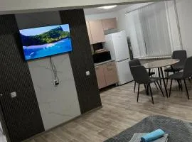 Однокомнатная квартира в центре города