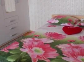 Papiniidu 35 Apartment