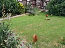 La ferme sympa