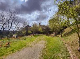 Camping Volterra