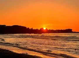 Dolphin Studios-Near the Beach