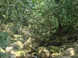 Da Cachoeira
