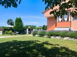 Apartments Davor