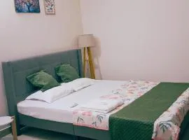 Transit Nest 2BHK
