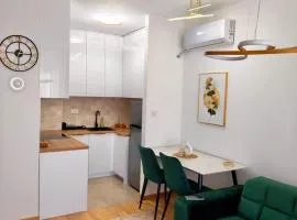 Golden View Apartment