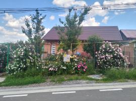 Garsoniera 20m2 anexată la casa proprietarului, Hotel in Botoşani