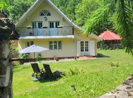 Casa de vacanta Julius, hotel din Padiş
