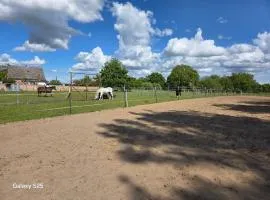 Ferienwohnung Mary s Farm Pferde willkommen