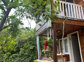 Naz Apartlari Cirali