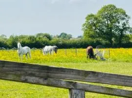 Barn Conversion Sleeps 6 with Parking