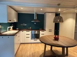 Cozy apartment centrally located in Bjorli