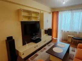 Cozy apartment in the center