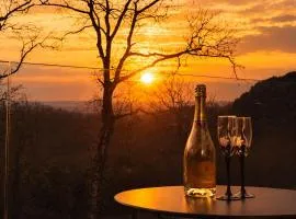 STUNNING VIEW, chambre en forêt proche ARKEA Arena