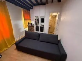 Classic Studio Retreat in Le Marais with Netflix