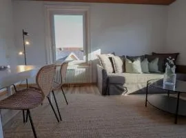 Simply Cozy Apartment in Winterthur