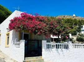 Bougainvillea Nest Panteli, Leros