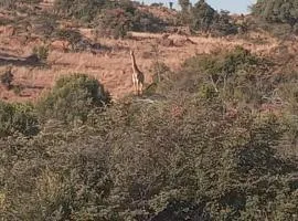 Aloe Grove Guest Farm