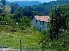 Ferma Hodobashi