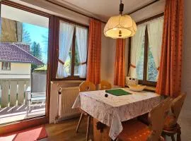FeWo Schwarzwaldglück Todtmoos mit Sauna, Tischtennis, Fitness