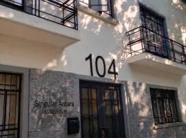 Singular Antara