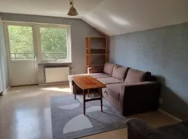 Apartment with some lake view