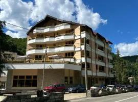 Montana Inn Slănic Moldova