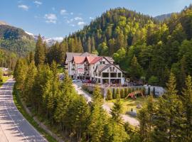 Piscul Negru Hotel - Transfagarasan, hotel in Cumpăna