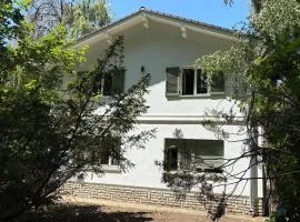 Fűzfás Apartman