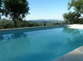 La Roseraie des Côtes - Piscine