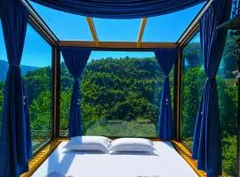 Hill House Merisi
