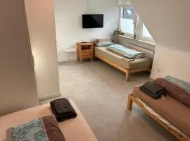 Hauckwald Apartment 1