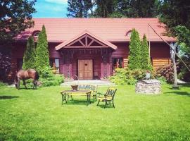 Chata za wsią, Hotel in Skaszewo