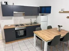 Hauckwald Apartment 5