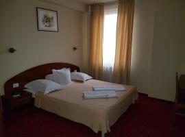 Hotel Iris, hotell i Arad
