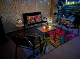 Grand T2 terrasse 27m2 plein sud Folelli centre