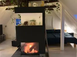 Charmantes und geräumiges Loft im DG eines Fachwerkhauses