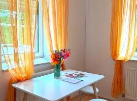Zentrale Altbauwohnung - 5 min zu Fuss in die City