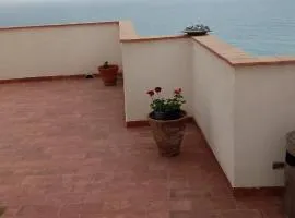 B&B Yle